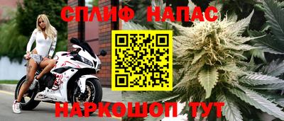 мяу мяу мука Ливны