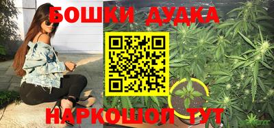 шишки Ликино-Дулёво