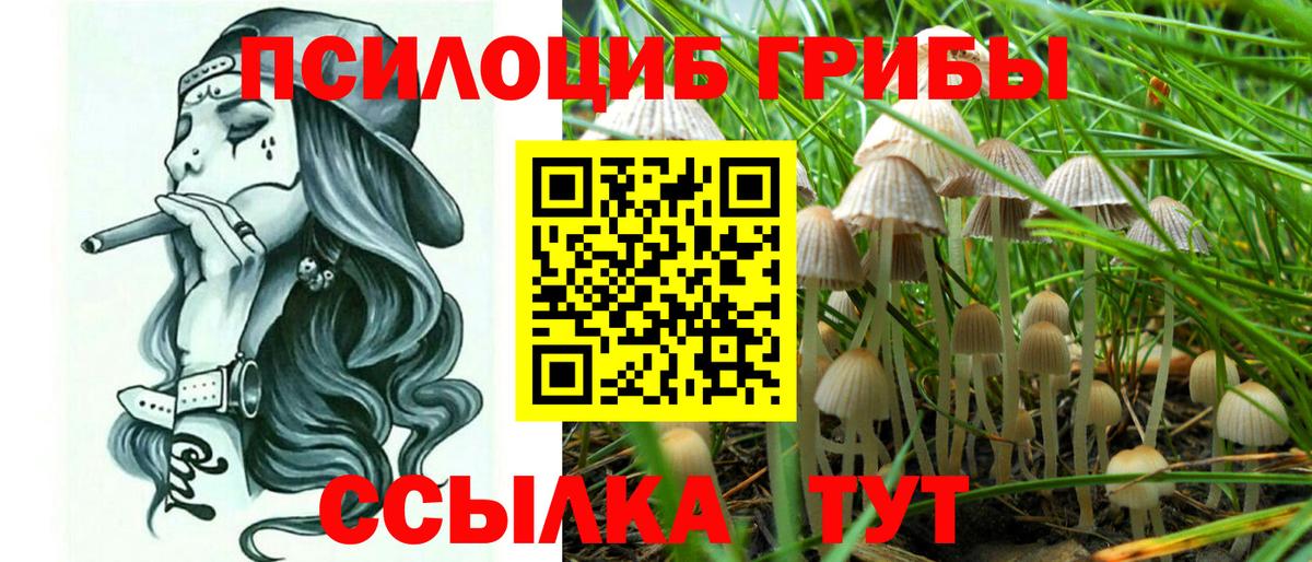 Псилоцибиновые грибы мицелий  Галлюциногенные грибы Cubensis  Вход с VPN  Джанкой 